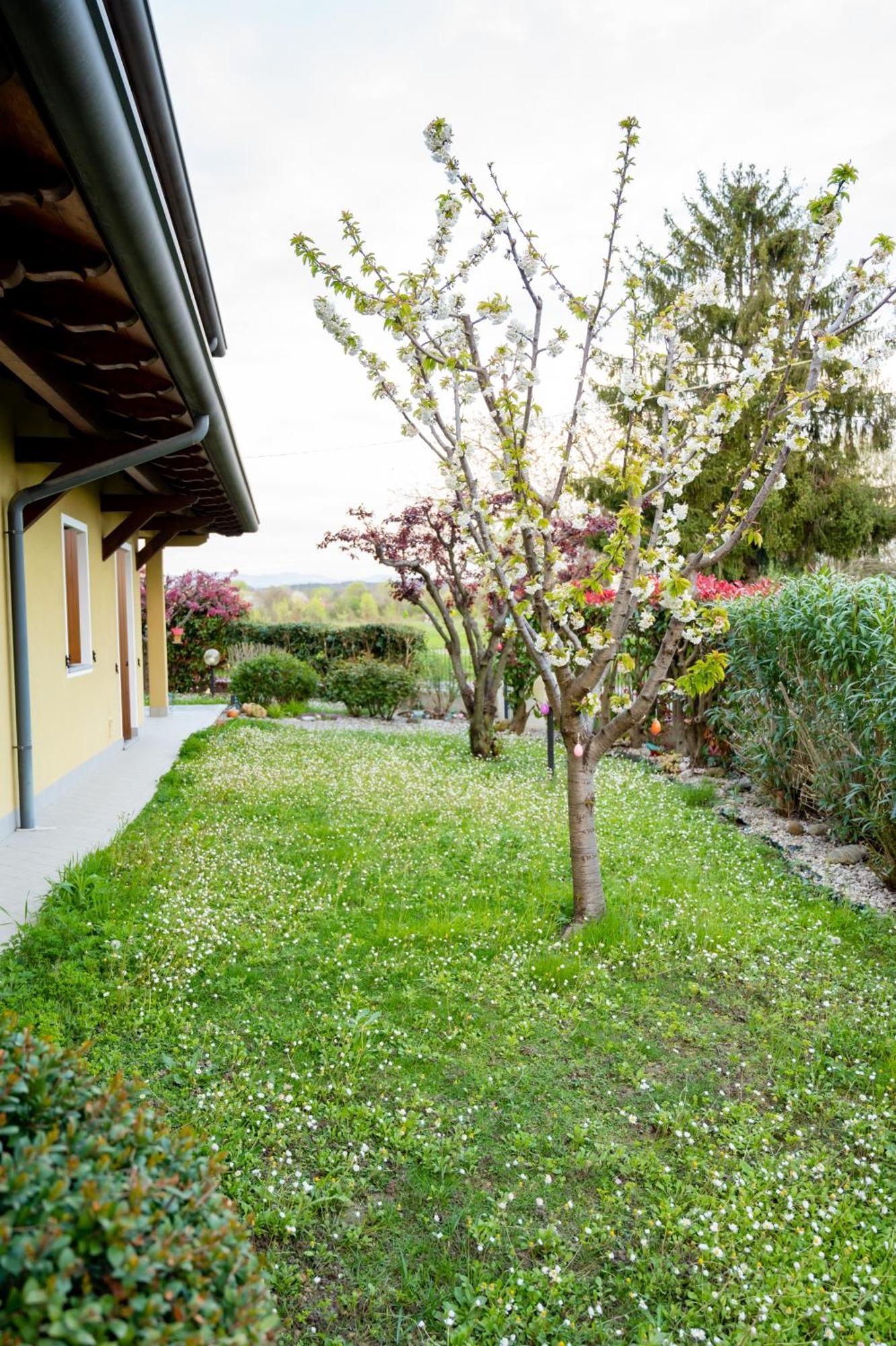 Residence Stradella Verde Staranzano エクステリア 写真