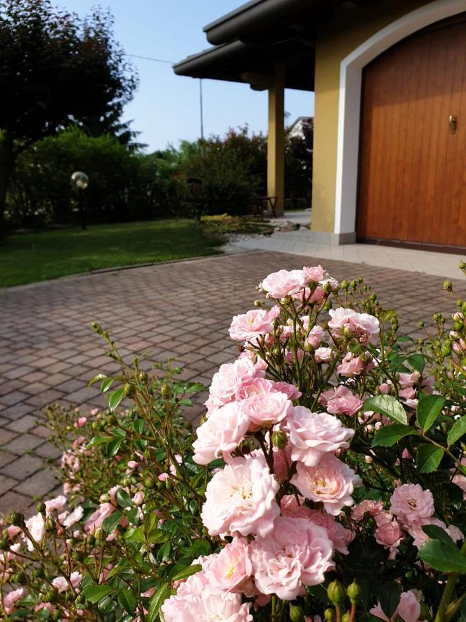 Residence Stradella Verde Staranzano エクステリア 写真